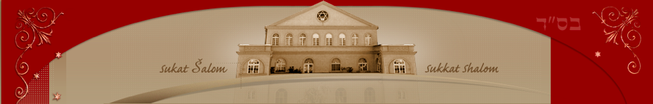 BEOGRADSKA SINAGOGA